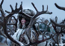 HIPA Announces the Winners of its 5th Season Merit Medals