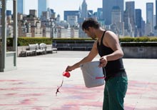 Roof Garden Installation by Imran Qureshi at Metropolitan Museum