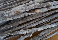 Solo exhibition ‘recently’ by Abbas Akhavan