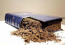 The Art Spaces Selected for Marker 2014