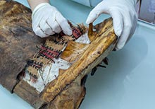 Conservation as a Principle of Minimal Intervention