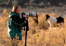 HIPA to host Photography Workshops during Awards Ceremony Week