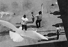 Ways of Seeing, NYU Abu Dhabi Art Gallery’s Fall Exhibition