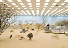 The Third Line at Art Basel 2019 Featuring New Works by Farah Al Qasimi