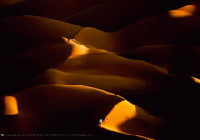 The Winners of the HIPA Second Season