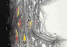 Golnaz Fathi: Line|Khat