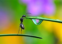 HIPA Winners of the General Category