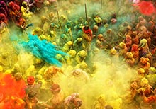 HIPA  Winners of the 4th Season titled ‘Life in Colour’