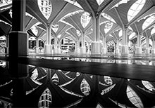 Winners of HIPA Instagram Photo Contest