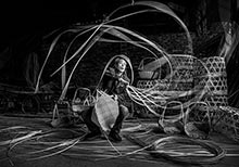 HIPA Winners of General Category