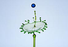 HIPA Announces September Winners Of Its Instagram Photo Contest