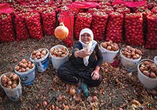 HIPA Announces August Winners Of Its Instagram Photo Contest