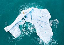 Portfolio Category Winners