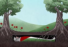 Natural Meanderings in Many Media