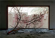 Lamya Gargash: Traces