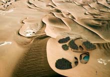 SAHARA SURREAL - Magnus Larsson