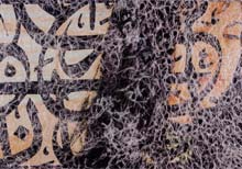 Palestinian-American Artist Manal Deeb