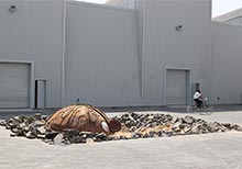 The First Look at Alserkal Avenue Expansion as Middle East Art Scene Develops