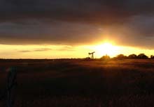 ‘Living with Video’, Curated by Chantal Crousel