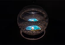 21 Shortlisted Artists for the Future Generation Art Prize 2019