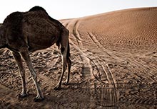 ‘Edge of Arabia: A Work in Progress’ by Mexican-American Fine Art Photographer Natalie Marie Franco