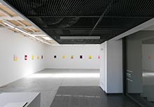 Nejat SatÄ±: Wild Flowers