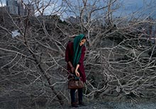 Smithsonian’s Freer|Sackler Presents  a Different View of Iran