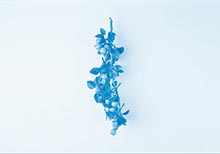 Artists-in-Residence (A.i.R) Dubai 2015