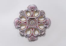 In Search of Beauty by Jaynie Crimmins