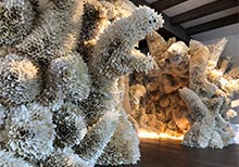 Arte Laguna Prize 2021 Announced its Winners