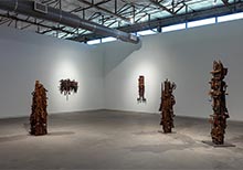 Sara Rahbar: Carry me home