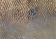 ‘Materic Reveries’ at India Art Fair 2017