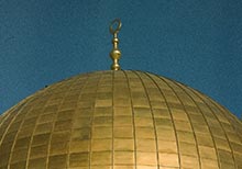 Film Photographs by Umar Islam