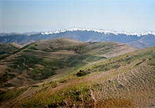 Lawrie Shabibi presents YazanKhalili at Artissima, 2015